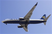 Saimon J Rodriguez   -   Canary Islands Spotting. Click to see full size photo