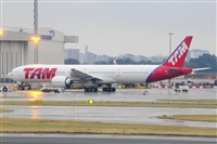 Miguel A. gueda Rguez.  (CANARY ISLANDS SPOTTING). Click to see full size photo