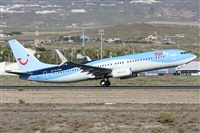 ©Alfonso Solís - Asociación Canary Islands Spotting. Click to see full size photo ©Alfonso Solís - Asociación Canary Islands Spotting. Click to see full size photo