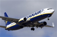 Saimon J Rodriguez   -   Canary Islands Spotting. Click to see full size photo