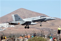 Adrin Alonso Lemes - Lanzarote Spotters. Click to see full size photo