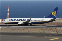 Alfonso Sols - Asociacin Canary Islands Spotting. Click to see full size photo