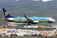 Bartolom Fernndez - Gran Canaria Spotters. Haz click para ampliar