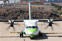Adrin Alonso Lemes - Lanzarote Spotters. Haz click para ampliar