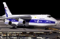 Javier de la Cruz - CANARY ISLANDS SPOTTING. Click to see full size photo