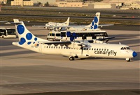 ©Alejandro H.L - Gran Canaria Spotters. Click to see full size photo ©Alejandro H.L - Gran Canaria Spotters. Click to see full size photo