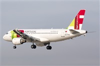 Nacho Rodriguez - Canary Islands Spotting. Click to see full size photo