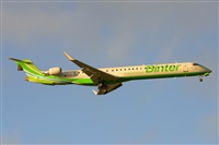 Miguel A. gueda Rguez.  (CANARY ISLANDS SPOTTING). Haz click para ampliar