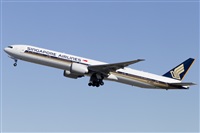 Rubn Gil - Noisy Spotters. Click to see full size photo