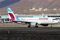©Alfonso Solís - Asociación Canary Islands Spotting. Click to see full size photo ©Alfonso Solís - Asociación Canary Islands Spotting. Click to see full size photo