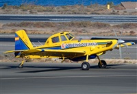 ©Alejandro H.L - Gran Canaria Spotters. Click to see full size photo ©Alejandro H.L - Gran Canaria Spotters. Click to see full size photo