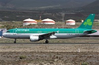 Alfonso Sols - Asociacin Canary Islands Spotting. Click to see full size photo