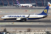 Alfonso Sols - Asociacin Canary Islands Spotting. Haz click para ampliar