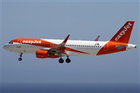 Alfonso Sols - Asociacin Canary Islands Spotting. Haz click para ampliar