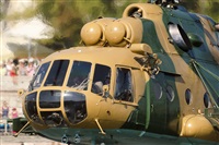 Tams. Click to see full size photo