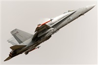 Javier de la Cruz - CANARY ISLANDS SPOTTING. Click to see full size photo