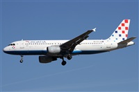 Alfonso Sols - Asociacin Canary Islands Spotting. Haz click para ampliar