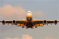 Miguel A. gueda Rguez.  (CANARY ISLANDS SPOTTING). Click to see full size photo