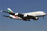 Alfonso Sols - Asociacin Canary Islands Spotting. Click to see full size photo