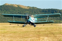 Tams. Click to see full size photo