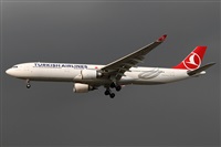 ©Alfonso Solís - Asociación Canary Islands Spotting. Click to see full size photo ©Alfonso Solís - Asociación Canary Islands Spotting. Click to see full size photo