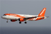 Alfonso Sols - Asociacin Canary Islands Spotting. Click to see full size photo