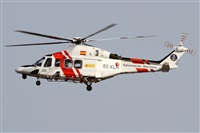 ©Alfonso Solís - Asociación Canary Islands Spotting. Click to see full size photo ©Alfonso Solís - Asociación Canary Islands Spotting. Click to see full size photo