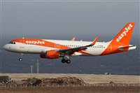 Alfonso Sols - Asociacin Canary Islands Spotting. Haz click para ampliar