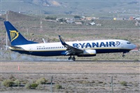 Miguel A. gueda Rguez.  (CANARY ISLANDS SPOTTING). Click to see full size photo