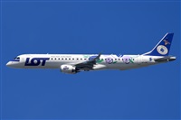 Miguel A. gueda Rguez.  (CANARY ISLANDS SPOTTING). Click to see full size photo