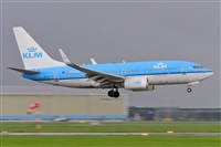 Miguel A. gueda Rguez.  (CANARY ISLANDS SPOTTING). Click to see full size photo