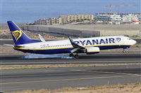 Miguel A. gueda Rguez.  (CANARY ISLANDS SPOTTING). Click to see full size photo