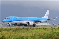 Miguel A. gueda Rguez.  (CANARY ISLANDS SPOTTING). Click to see full size photo