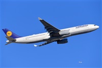 Miguel A. gueda Rguez.  (CANARY ISLANDS SPOTTING). Click to see full size photo