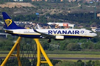 Miguel A. gueda Rguez.  (CANARY ISLANDS SPOTTING). Click to see full size photo