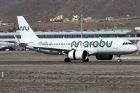 Alfonso Sols - Asociacin Canary Islands Spotting. Click to see full size photo