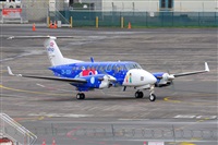 �Miguel A. �gueda Rguez.  (CANARY ISLANDS SPOTTING). Click to see full size photo