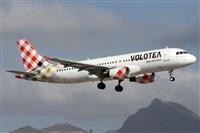 �Alfonso Sol�s - Asociaci�n Canary Islands Spotting. Click to see full size photo