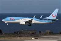 �Adolfo Bento - Gran Canaria Spotters. Click to see full size photo