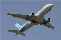 Jos Miguel Bernases - Noisy Spotters. Click to see full size photo