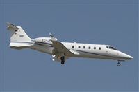 Jos Miguel Bernases - Noisy Spotters. Click to see full size photo
