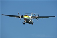 La Roche Spotters. Click to see full size photo
