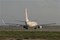 Jos Miguel Bernases - Noisy Spotters. Click to see full size photo