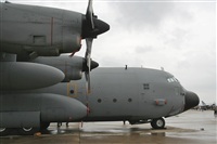 Cele - Spotters BCN. Click to see full size photo