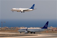Javier de la Cruz - CANARY ISLANDS SPOTTING. Haz click para ampliar