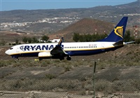 ©Javier Rodríguez. Click to see full size photo ©Javier Rodríguez. Click to see full size photo