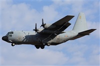 Fco Javier Chao. Click to see full size photo