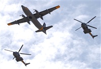 Alejandro H.L - Gran Canaria Spotters. Click to see full size photo