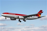 Rodrigo Carvalho - Noisy Spotters. Click to see full size photo