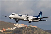 Javier de la Cruz - CANARY ISLANDS SPOTTING. Click to see full size photo